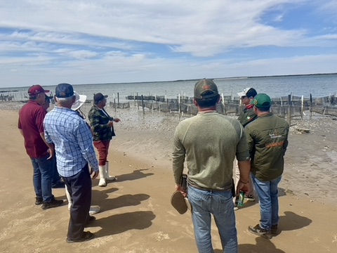 Visita técnica en zona de cultivo