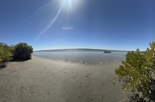 Entorno costero y manglar