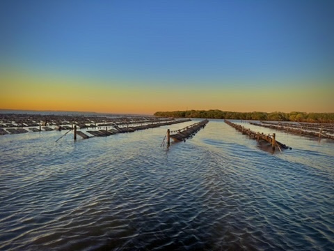 Infraestructura de cultivo al atardecer